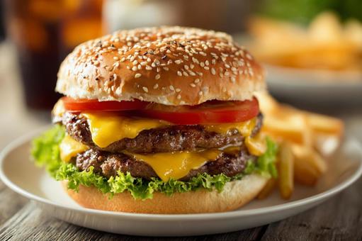 美味しそうなハンバーガー 美味しそうなハンバーガーの写真