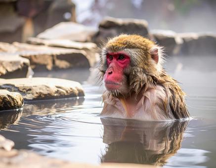 スノーモンキー・露天風呂の野猿の写真
