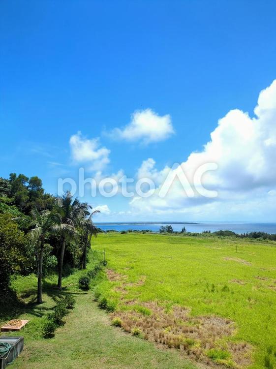 沖縄県　石垣島　展望台から観た草原と青空 沖縄県,石垣島,海の写真素材