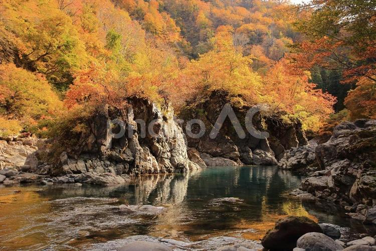 秋の渓流と岩_紅葉 紅葉,秋,11月の写真素材