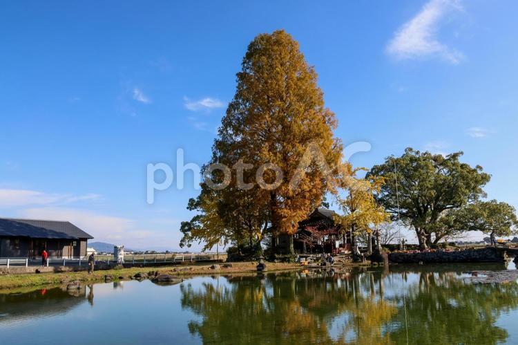 森を染める秋 紅葉,秋の風景,紅葉狩りの写真素材