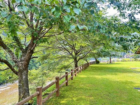 下北山村 自然 観光 下北山村 自然 観光の写真