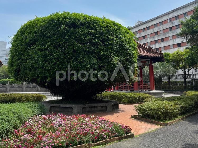 台湾、台北の公園 海外,台湾,台北の写真素材