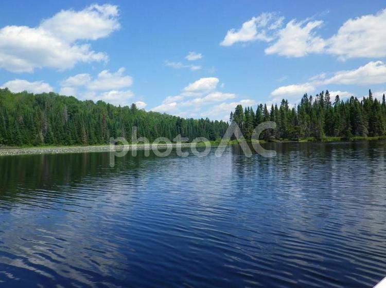 アルゴンキン国立公園のカヌーからの風景 アルゴンキン国立公園,風景,カナディアンカヌーの写真素材