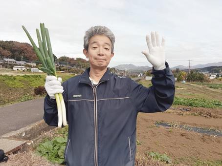 兼業農家のシニア男性 シニア,シニア男性,50代の写真素材
