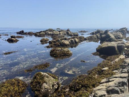 磯崎海岸 茨城 磯崎海岸 茨城の写真