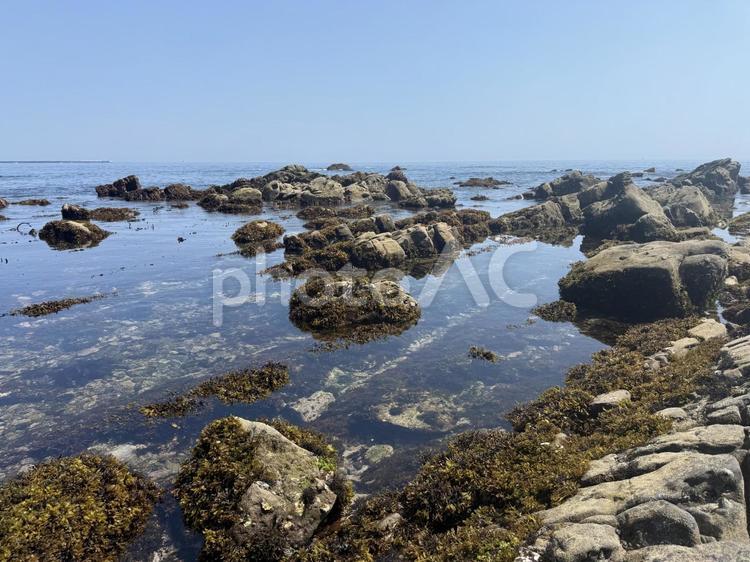 磯崎海岸　茨城 磯崎,海岸,海の写真素材