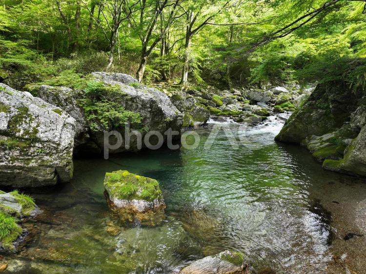 愛媛県　小田深山渓谷　深山荘周辺の風景 深山荘周辺の風景,深山荘,水の写真素材