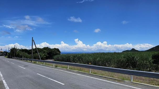 道路 道路の写真