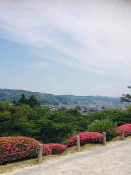空 花 高台 公園の写真