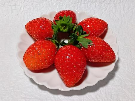 イチゴ イチゴ,果物,スイーツの写真素材