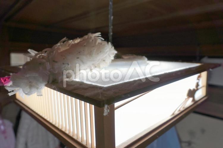 和室照明の掃除04 掃除,埃,和室の写真素材