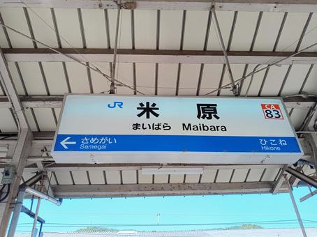 米原駅 米原駅 鉄道,jr,jr西日本の写真素材