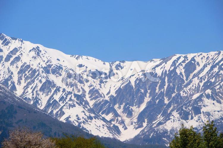 白馬村から見た白馬岳の雪形　代掻き馬 白馬岳,白馬,長野の写真素材