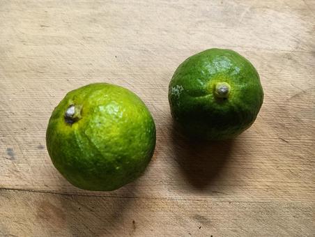 カボス カボス,柑橘,果物の写真素材