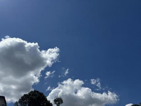Photo, sun, sunlight, sunshine, 