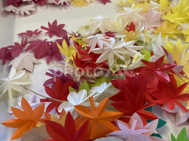 手作りの紅葉、イチョウの折り紙 折り紙,origami,日本の写真素材