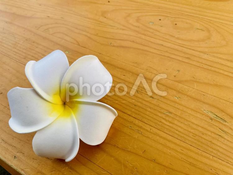 プルメリア プルメリア,造花,リゾートの写真素材
