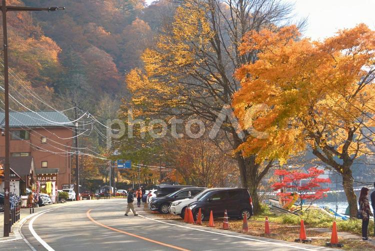 染まり始めの中禅寺湖の外周 湖畔,中禅寺湖,湖の写真素材