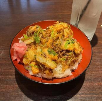 かき揚げ丼 かき揚げ丼,かき揚げ,どんぶりの写真素材