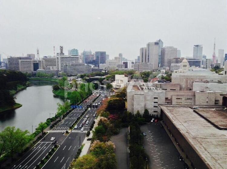 東京タワーと東京のビル群と千鳥ヶ淵 東京タワー,ビル,ビル群の写真素材
