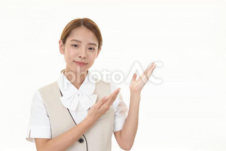 両手で案内するオフィスレディ 女性,ビジネスウーマン,仕事の写真素材