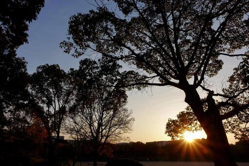 秋の朝空65 朝日,日の出,夜明けの写真素材