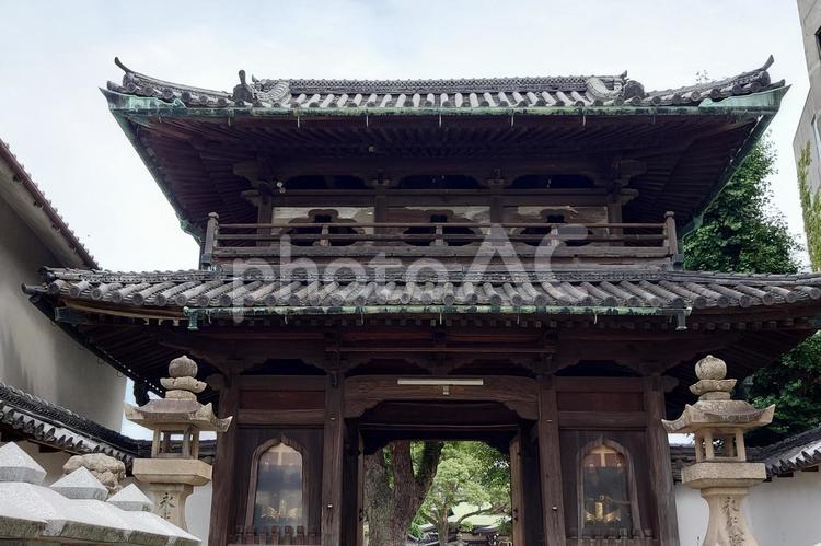 大阪府-感田神社-神門 感田神社,神社,神門の写真素材