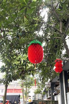 ぼんぼり ぼんぼりの写真