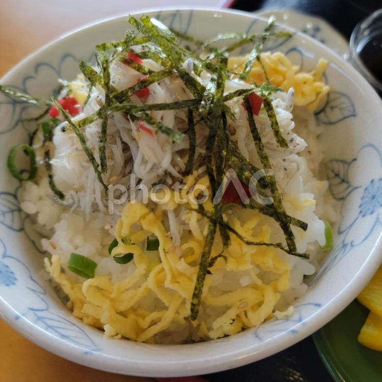 しらすご飯 しらす料理,しらす,しらすごはんの写真素材