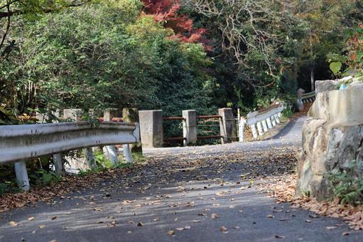 枯れ葉舞う荒廃しそうな生活道路 枯れ葉舞う荒廃しそうな生活道路 生活道路,ガードレール,枯れ葉の写真素材