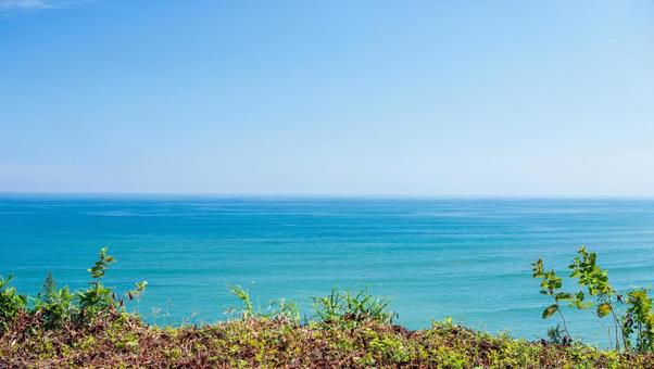 夏の海 夏の海の写真