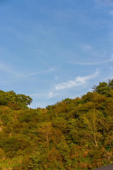 日中の月が浮かぶ新緑の山 自然,風景,山の写真素材