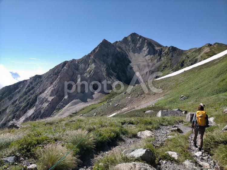 白馬岳(北アルプス)登山記録6 山ガール,女性,登山の写真素材