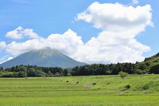夏の大山と田園風景 5 夏の大山と田園風景 5の写真