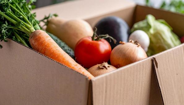 段ボールに入った野菜セット 段ボールに入った野菜セットの写真