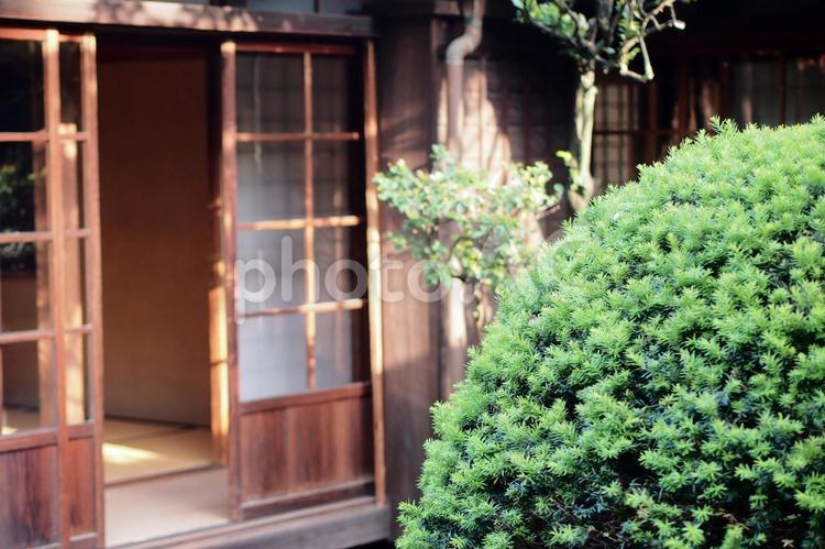 和室のある風景フリー無料素材画像 日本家屋,家,日本庭園の写真素材