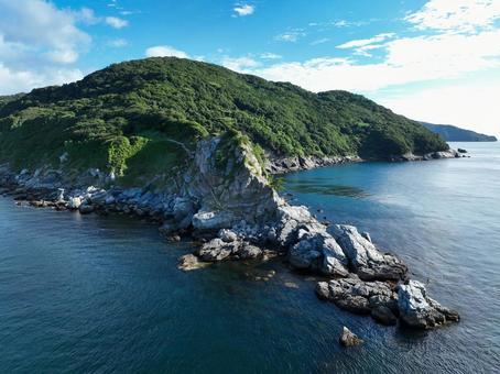 Photo, rhinophyma, cape, peninsula, 