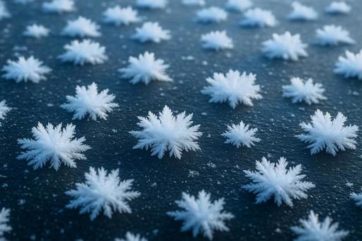 氷上に咲く霜の花、冬の自然が作る芸術 氷上に咲く霜の花、冬の自然が作る芸術の写真