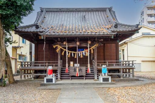 宮城野八幡神社と乳イチョウ⑹ 神社,宮城野八幡神社,神社仏閣の写真素材