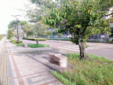 木陰と石のベンチがある静かな遊歩道 ベンチ,石のベンチ,木陰の写真素材