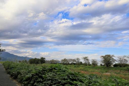Photo, sky, cloudy sky, riverside sky, 