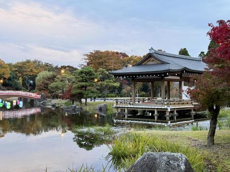 秋の夕方　福井県紫式部公園 紫式部公園,福井県,庭園の写真素材