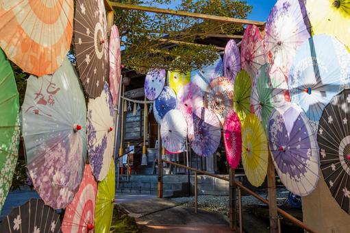 仙台八坂神社(36) 神社,仙台八坂神社,晩秋の写真素材