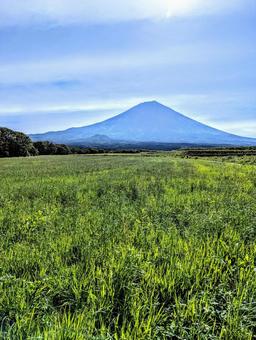 早朝の朝霧高原 早朝の朝霧高原の写真