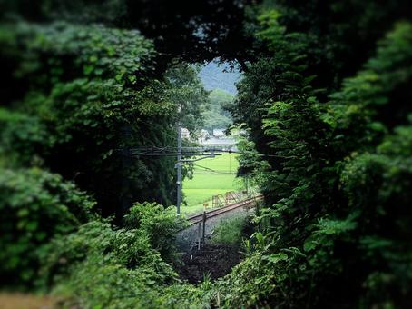 真夏の加古川線、旅情あふれる黒田庄駅辺り 鉄道,線路,ローカル線の写真素材