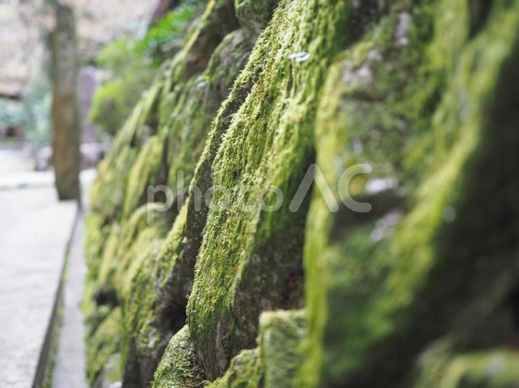 苔の生えた綺麗な石垣 コケ,苔,石垣の写真素材