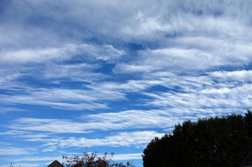 白い雲2 白い雲2 雲,白い,空の写真素材