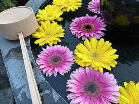 柄杓とお花 柄杓,ひしゃく,弁財天の写真素材