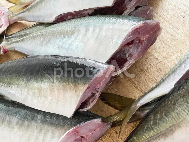 アジを捌くよ！ アジ,魚,釣果の写真素材